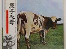 PINK FLOYD ATOM HEART MOTHER EMI EMS80320 Japan VINYL LP