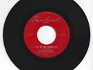 Rare Garage Psych 45The Lemon Drops 
