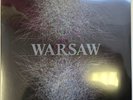 Warsaw Warsaw LP Album vinyl record limited grey reissue 2022 new wave