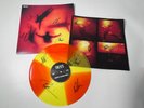 Triple SIGNED The K's LP I Wonder If the World Knows? Orange Spinner Vinyl