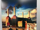 PINK FLOYD - Animals (Reissue) Vinyl (Gatefold) Near Mint See Pics