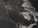 Horslips The Tain WITH POSTER NEAR MINT Oats Vinyl LP