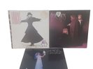Stevie Nicks 12