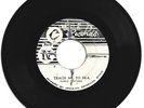 LORD BRYNER / TEACH ME TO SKA / CONGO WAR / 7''