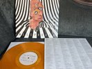 Cage the Elephant Melophobia Orange Colored Vinyl LP Limited Run