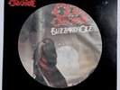 Ozzy Osbourne BLIZZARD OF OZZ Picture Disc Vinyl LP - EXCELLENT