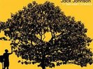 Jack Johnson - In Between Dreams [Canary Yellow Lp] - FOLK *NEW/COLOR*