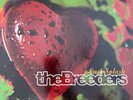 Last Splash by The Breeders (Record, 2018)