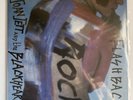 JOAN JETT- Flashback 2LP Record Store Day 2015  Blue Vinyl Mint M/M RARE
