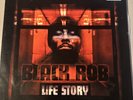 Life Story [PA] by Black Rob (Vinyl, Sep-2004, Bad Boy Entertainment)