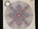 Red Hot Chili Peppers I’m Beside You 2xLP RSD 2013 NM Limited Numbered. SEALED