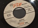 Pit Men Earthy/New Orleans 1966 Texas Garage Surf 45 EX