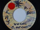 Reggae 45 A ROYLN/KEITH HUDSON Oh My Darlin/Working on Inbidimts blank VG++