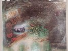 Pink Floyd ‎A Saucerful Of Secrets Vinyl LP US Stereo Tower Records Psych