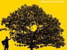 JOHNSON,JACK- IN BETWEEN DREAMS(LP)