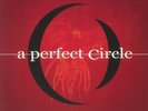 A perfect Circle - Phoenix Arise - LP