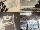 Echo Bunnymen Teardrop Explodes Record Lot