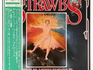 EX JAPAN ORIGINAL LP STRAWBS GRAVE NEW WORLD AML141 A&M OBI BOOKLET