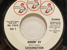 Funk Sweet Soul 45 LEXINGTON Doin It / The Loving Side Of Me RAGDOLL listen VG+