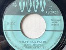 70s Northern Soul 45 RICHARD STOUTE What Bag I'm In TREX RECORDS listen