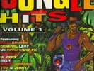 Various - Jungle Hits Volume 1 (2xLP, Comp) (Very Good Plus (VG+)) - 3764544063