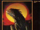 Ruts DC Animal Now NEAR MINT Virgin Vinyl LP
