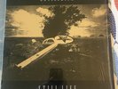 Antischism “Still Life” Raging Crust Punk Massacre From The South  Allied Recs
