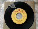1965 TERRY LEE w/ REVELERS - HEY BABY, HEY SUGAR - 45 RPM PITTSBURGH GARAGE ROCK