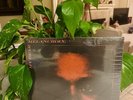 THE WEEKND MY DEAR MELANCHOLY VINYL Etched 12