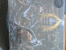 Here in after by Immolation (Record, 2015)