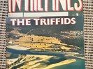 THE TRIFFIDS - BORN SANDY DEVOTIONAL LP HOTLP 1023 HOT RECORDS 1986 VG+