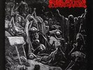 Merciless - The Awakening - LP (bi-color)