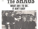 THE SHAGS--GARAGE ROCK PICTURE SLEEVE ONLY--(WHAT AM I TO DO)--PS--PIC--SLV