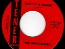 THE WAVE-RIDERS - AIN'T IT A SHAME  (NM) FLORIDA GARAGE PUNK 45 on TENER - HEAR