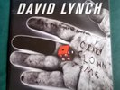 DAVID LYNCH / Crazy Clown Time LP, Gatefold Sunday Best Vinyl EU 2011 200 Grams