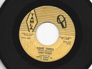 R&B SOUL MOTOWN ROCKER 45 -GINO PARKS -SAME THING - LINES FIRST-HEAR -1961 TAMLA