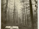 THE CURE -A Forest-  UK 12