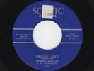 TENN. Rocker JOHNNY SHELTON Groovy Joe's/Alone In the Crowd SCENIC M- HEAR