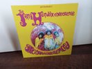Jimi Hendrix Are You Experienced 2010 #rd Pressing Vinyl LP Stereo Analog Near M