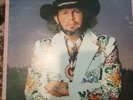 David Allan Coe 1978 Greatest Hits LP Vinyl Record Album