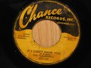 The Flamingos Doo Wop 45 If I Cant Have You bw Someday Someway on Chance