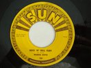 Rockabilly 45 - Warren Smith 