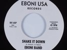Eboni Band / Shake It Down / Get Together US 7in Eboni USA Records 501/502 ASP