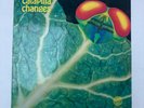 CATAPILLA CHANGES   ORIG GERMAN 1ST PRESS VERTIGO   PSYCH JAZZ ROCK   LP