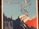 Toad the Wet Sprocket New Constellation 2 lp vinyl rare