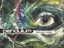 Pendulum - Hold Your Colour (Vinyl 3LP - 2005 - UK - Reissue)