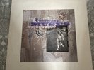 UNIVERSITY THROWING MUSES LP UK 1995 4AD -CAD 5002