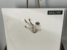 Daniel Caesar - Pilgrims Paradise Translucent Pearly White Marble Vinyl /1500