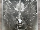 Demon Hunter - PEACE -Clear/Silver Vinyl LP 2019 Limited First Pressing 1/500 NM