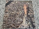 SIOUXSIE AND THE BANSHEES Juju 1981 US LP PVC 8903 EX Vinyl w/ Inner